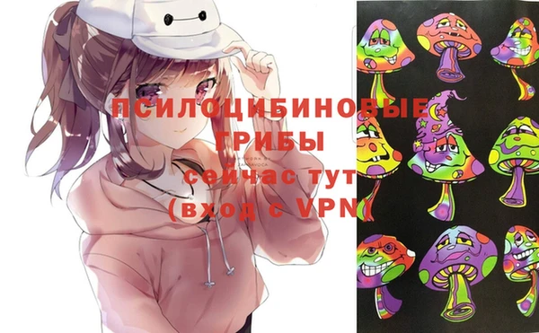прущие грибы Армянск
