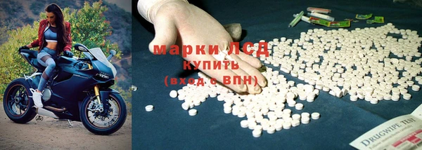 СК Алексин