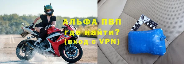 СК Алексин